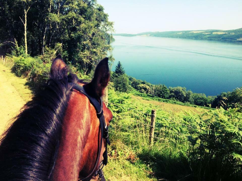 Loch Ness B And B - Inverness, Inverness